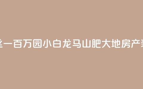 快手粉丝一百万0.01园小白龙马山肥大地房产装修网站,快手50赞免费 - 抖音点赞1元100个赞平台在线 qq空间访客量低价 第1张