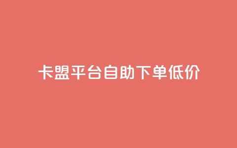 卡盟平台自助下单低价,24小时自助业务下单超稳定 - 如何获得1000粉丝 qq访客量增加网站免费 第1张