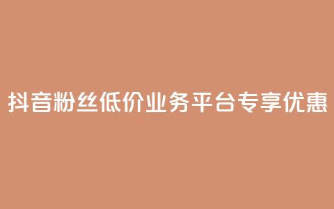 抖音粉丝低价业务平台专享优惠 第1张