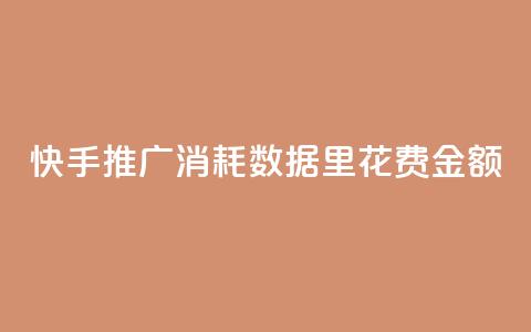 快手推广消耗数据里花费金额,小红书3000粉丝推广报价多少 - 拼多多低价助力 拼多多700元最后一个钻石 第1张