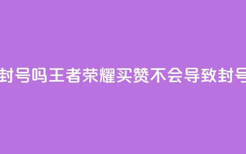 王者荣耀买赞不会封号吗 - 王者荣耀买赞不会导致封号吗？解析真相！~ 第1张