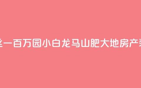 快手粉丝一百万0.01园小白龙马山肥大地房产装修网站,直播间人气协议网站 - 抖音低价业务全网最低 抖音点赞极速到账 第1张