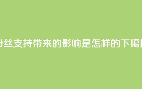 粉丝支持带来的影响是怎样的？ 第1张