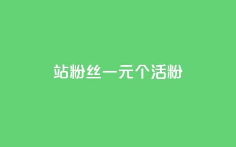 b站粉丝一元1000个活粉 - B站一元可以获得1000个真实活跃粉丝，你绝对不想错过！~ 第1张