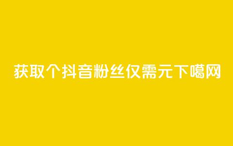 获取500个抖音粉丝仅需1元 第1张