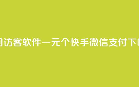 QQ空间访客软件 - 一元10个快手微信支付 第1张