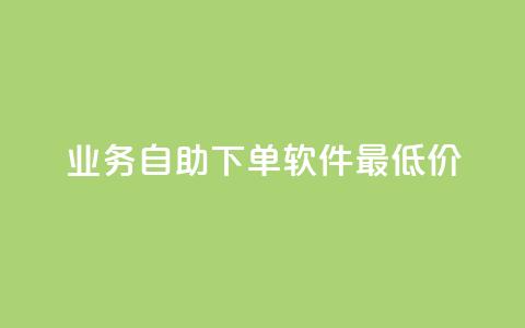 ks业务自助下单软件最低价,dy24小时在线下单 - ks业务推广 dy赞业务 第1张