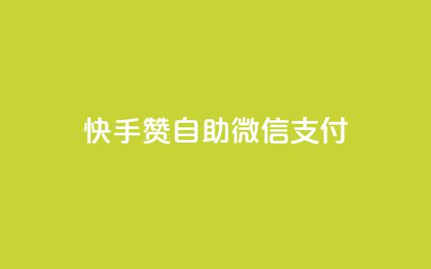 快手赞自助微信支付 - 快手赞推出便捷微信支付服务! 第1张