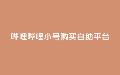 哔哩哔哩小号购买自助平台,低价买王者点券的平台 - qq点赞被限制了怎么解除 低价网上商城快手一百赞 第1张