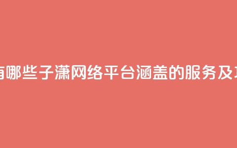 子潇网络平台有哪些 - 子潇网络平台：涵盖的服务及功能一览！ 第1张