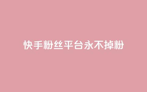 快手粉丝平台+永不掉粉,抖音业务低价自助平台超低价 - 评论点赞业务 自助平台 第1张