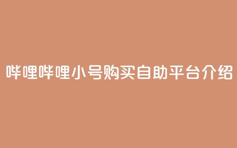 哔哩哔哩小号购买自助平台介绍 第1张