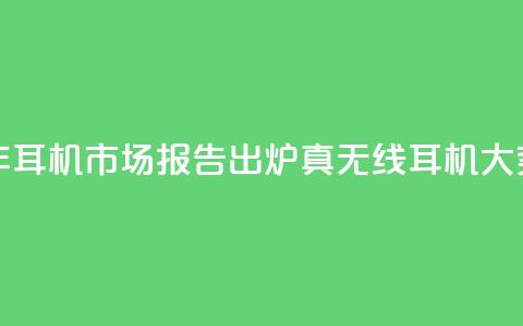 2024上半年耳机市场报告出炉：真无线耳机大势已去 第1张