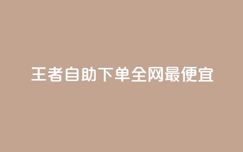 王者自助下单全网最便宜,快手引流软件全自动免费 - 子潇网络平台有哪些 10000个赞1毛 第1张