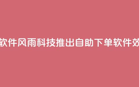 风雨科技自助下单软件 - 风雨科技推出自助下单软件，效率提升不止！~ 第1张