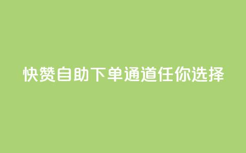 快赞自助下单通道任你选择 第1张