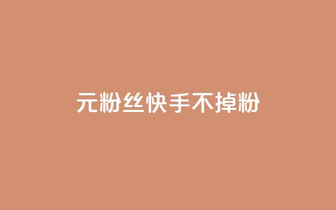 1元3000粉丝快手不掉粉,1元100赞全网最低价 - 拼多多在线助力网站 博主拼多多助力 第1张