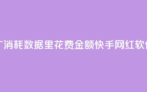 快手推广消耗数据里花费金额 - 快手网红软件 第1张