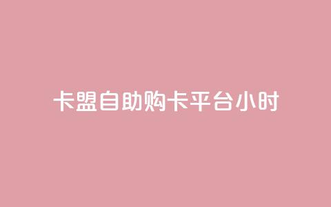 卡盟自助购卡平台24小时,QQ空间秒赞 - pubg脚本卡盟 网红24小时自助购物平台 第1张