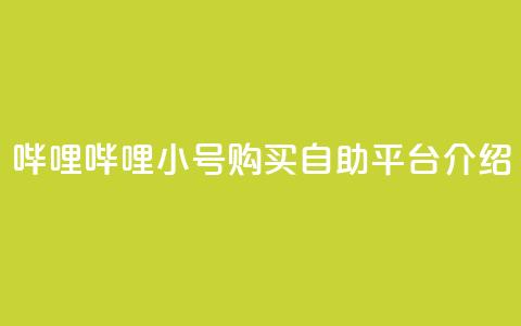 哔哩哔哩小号购买自助平台介绍 第1张