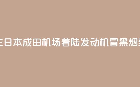 新航波音客机在日本成田机场着陆 发动机冒黑烟致跑道一度关闭 第1张