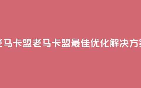 老马卡盟(老马卡盟：最佳SEO优化解决方案) 第1张