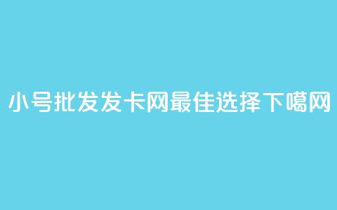 小号批发发卡网VX：最佳选择 第1张