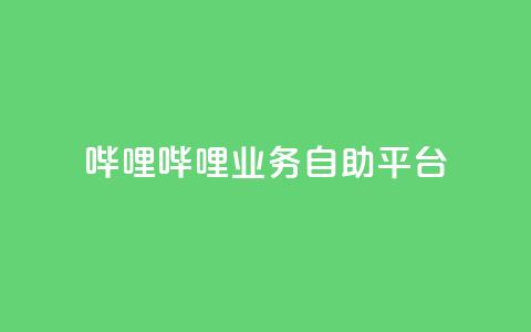 哔哩哔哩业务自助平台 - 哔哩哔哩自助平台：优化您的业务经营! 第1张