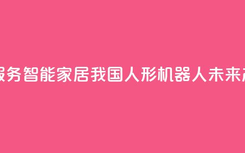 真实家庭服务、智能家居……我国人形机器人未来产业正成长 第1张