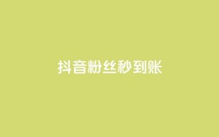 抖音粉丝秒到账 - 抖音迅速到账粉丝攀升！