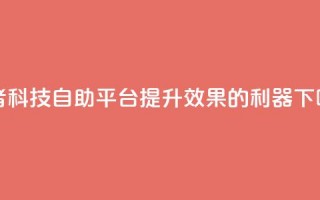 王者科技自助平台：提升SEO效果的利器