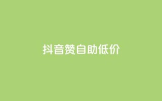 抖音赞自助低价 - 抖音自助点赞服务优惠来袭！