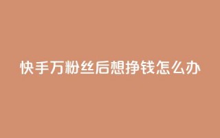 快手1万粉丝后想挣钱怎么办,快手24小时自助服务 - 拼多多刷助力网站哪个可靠 - 拼多多如何找货源一件代发