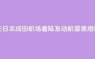 新航波音客机在日本成田机场着陆 发动机冒黑烟致跑道一度关闭