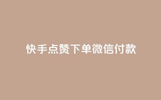 快手点赞下单微信付款,空间访客量网站 - qq空间十万访客怎么做 - DNF手游科技免费