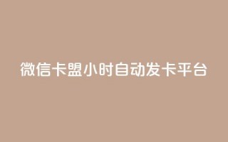 微信卡盟24小时自动发卡平台 - 最佳SEO实践：全天候自动发卡平台,微信卡盟买卡24小时服务~