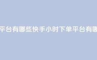 快手业务24小时下单平台有哪些 - 快手24小时下单平台有哪些优质选择~