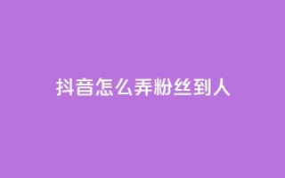 抖音怎么弄粉丝到500人 - 如何将抖音粉丝增至500人!