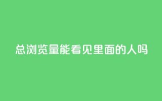 qq总浏览量能看见里面的人吗,在线自助下单互助互赞 - 拼多多转盘最后0.01解决办法 - 海外版拼多多开店流程及费用多少