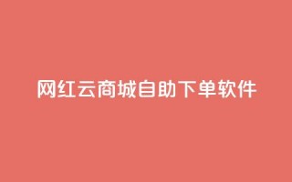 网红云商城自助下单软件 - 便捷自助下单软件助力网红云商城。