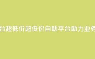 dy业务低价自助平台超低价 - 超低价自助平台助力dy业务快速发展！