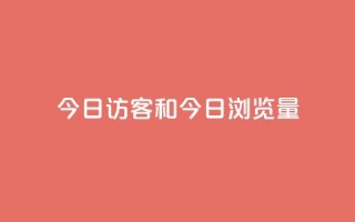 今日访客和今日浏览量,网红商城快手业务24小时营业 - pdd提现700套路最后一步 - 全网最低价业务网站