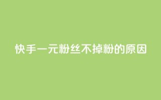 快手一元1w粉丝不掉粉的原因,快手播放量网站平台免费 - ks一元1000个赞秒到软件 - 网红商城