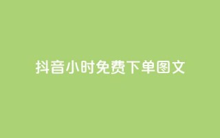 抖音24小时免费下单图文,秒赞助手QQ - 抖音业务24小时在线下单 - 卡盟下单平台在线