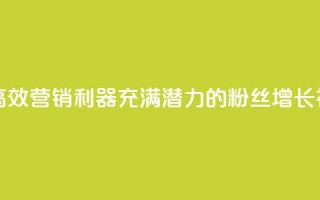 粉丝软件 - 高效营销利器：充满潜力的粉丝增长神器~