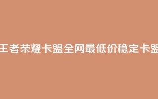 王者荣耀卡盟全网最低价稳定卡盟 - 王者荣耀卡盟价格优惠，高质量服务保障！