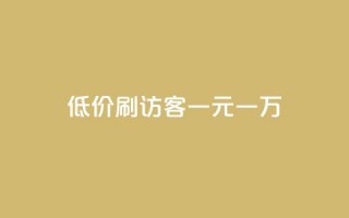 低价刷访客一元一万 - 高效提升网站流量的低价方式，每万访客仅需一元~