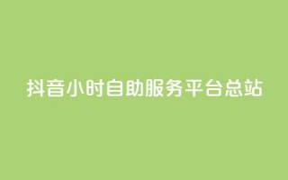 抖音24小时自助服务平台总站 - 抖音全天候自助服务平台一站式解决方案！