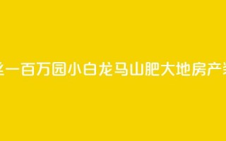 快手粉丝一百万0.01园小白龙马山肥大地房产装修网站,dy低价业务平台 - ks24小时自助快手业务 - ks业务自助下单货源最低价