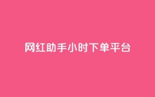 网红助手24小时下单平台 - 网红助手24小时快速下单平台全新上线~